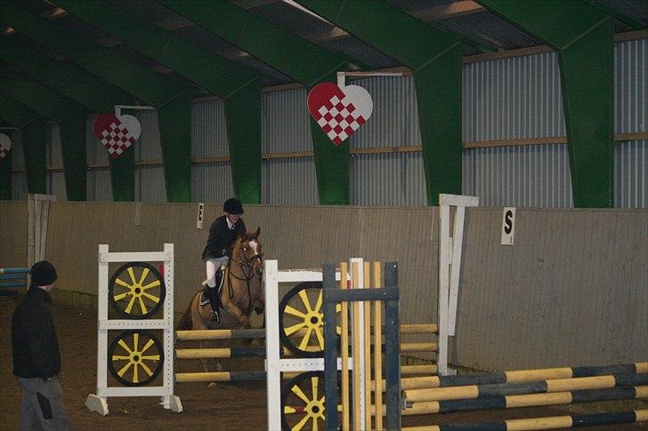 New Forest Baronessen Denver [solgt] - Sindal Fejlfri La 3.plads billede 6