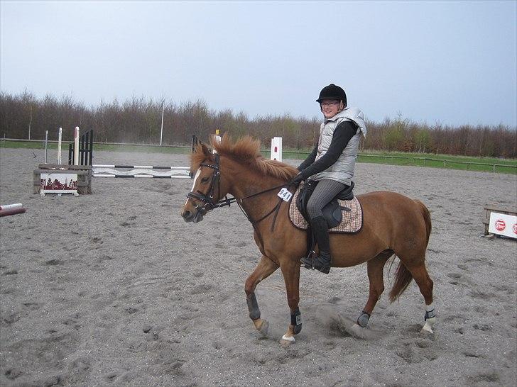 New Forest Baronessen Denver [solgt] - opvarmning billede 7