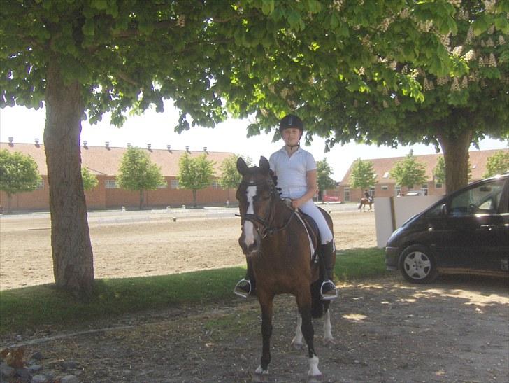 DSP Ringo   Død d. ( 10/9-14) - Ringo & Julie til deres debut i LA-klasserne. billede 18