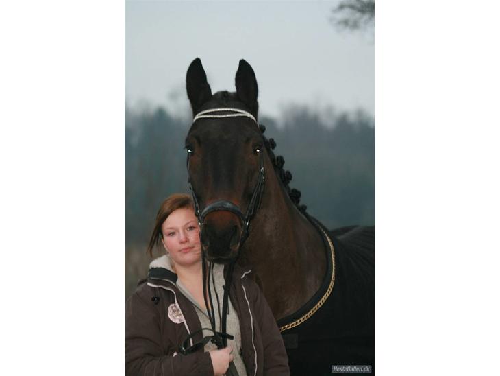 {{currentPhoto.altText}} billede {{currentPhoto.number}}