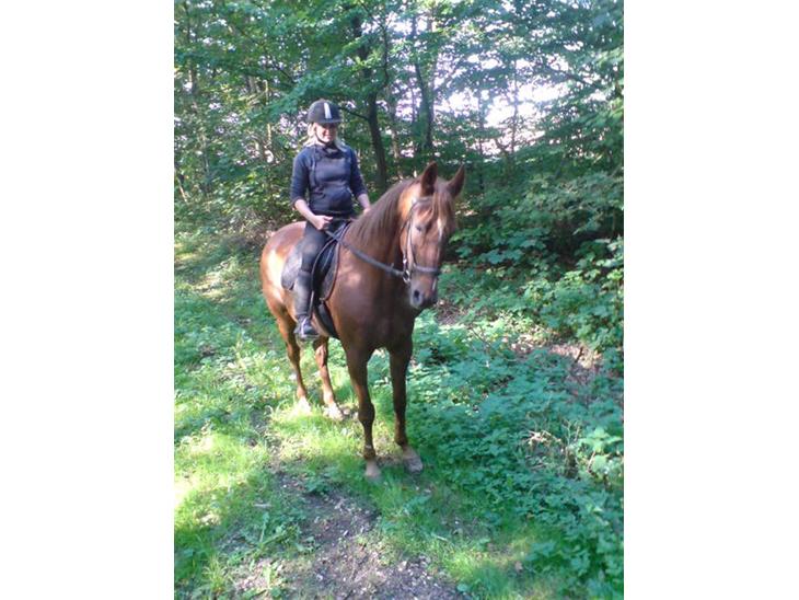 {{currentPhoto.altText}} billede {{currentPhoto.number}}