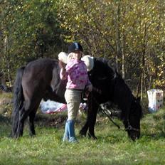 Anden særlig race Viktor (solgt) ;(