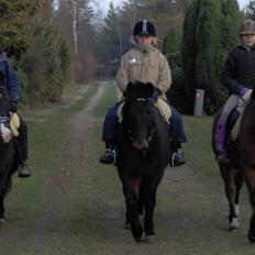 Anden særlig race Viktor (solgt) ;(