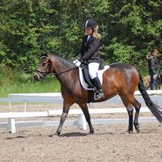 Anden særlig race R.I.P Flika :'(<3