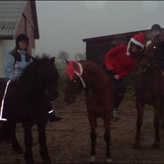 Anden særlig race Bakkebos Champ