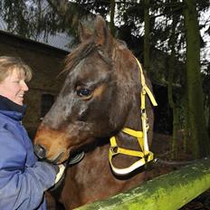 Anden særlig race Coco R.I.P