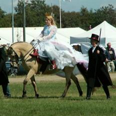 Welsh Partbred (Sec F) Donna Amalina Østervang