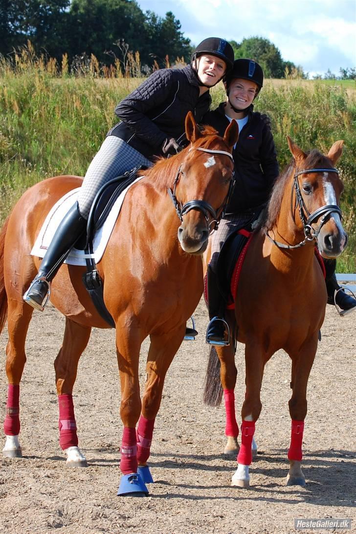 Anden særlig race Fantasi  - Fantasi og Valle<3 Frejze/freja og jeg i VBR, inden vi startede på efterskole :)
''Hvorfor er du så sur fanne?!''
Foto: Kasper billede 5