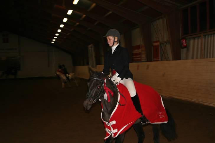 Anden særlig race Beauty - fuld fart æresrunde klubmesterskab 08 NÅR billede 13