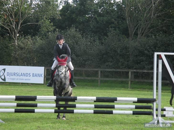 Anden særlig race Black Star - B pony<3 billede 7