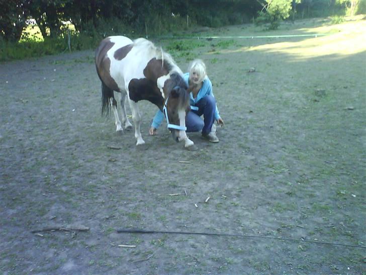 Anden særlig race Indy - Jeg skal lære at bukke pænt synes Michelle billede 3