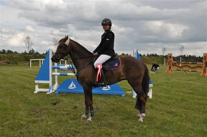 Tysk Sportspony Breitling  - Tobøl rideklub c-stævne 09 MB 1. Plads. :) billede 17