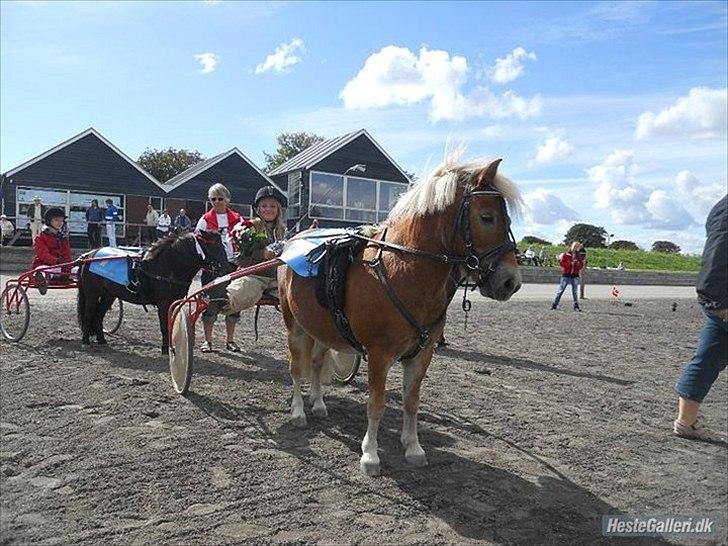 Anden særlig race Lukas - Lukas og jeg i år 2010 lige vundet DM løbet !! billede 6