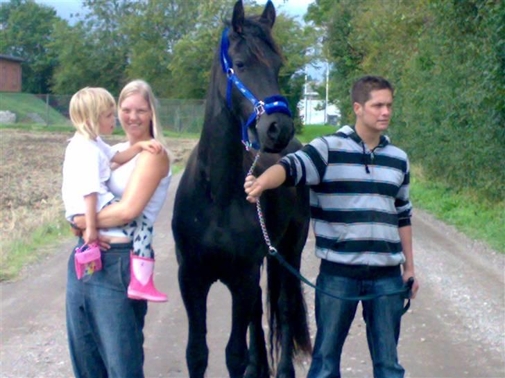 Frieser Temptation billede 6