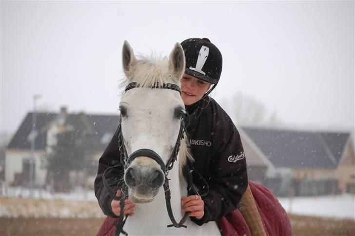 New Forest Skovlys Lise  - Fordi jeg elsker hende. billede 9