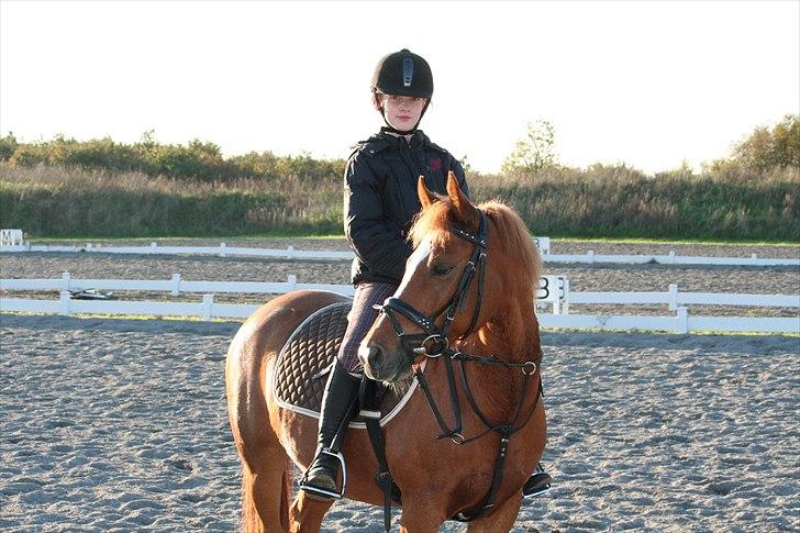 New Forest Baronessen Denver [solgt] - Caroline(min søster) og Baronessen billede 12