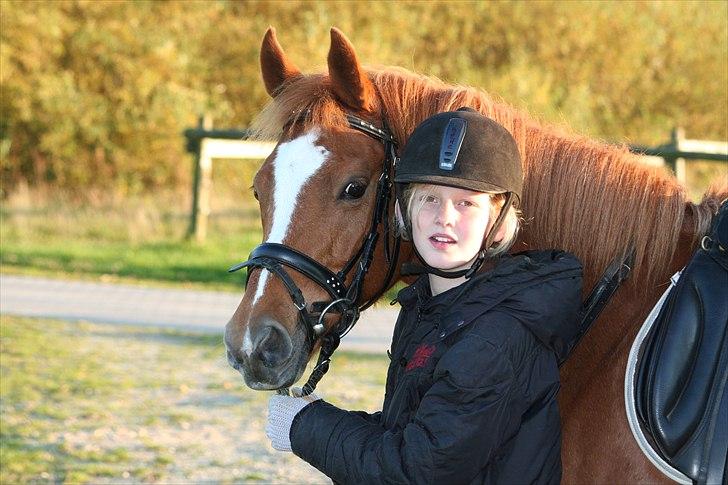 New Forest Baronessen Denver [solgt] - Caroline & Baronessen billede 14