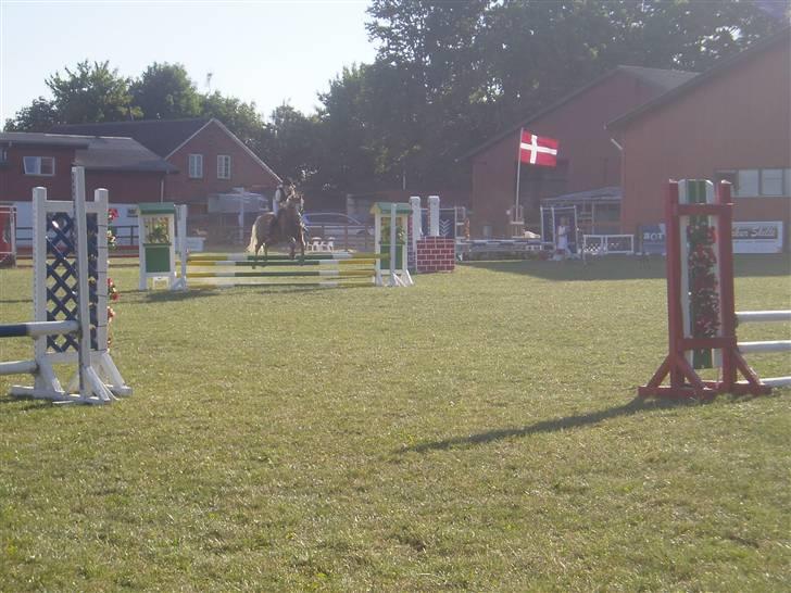 Palomino Linke *SOLGT* - Mig og Linke i solrød:-D billede 10