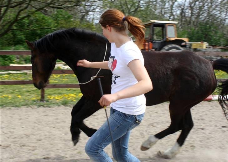 Anden særlig race Aavangs Mikado, Svampebob - mig og drengerøven i leg ;p Foto: Lykke dul dul <3 billede 7