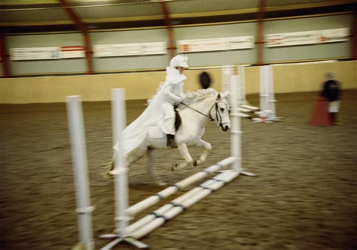 Anden særlig race Fatima<3  (OMRÅDEMESTER) - hihi jeg springer da:D min pony stopper altid og så sprang jeg en mikro spring for rigtig lang tid siden men det er fordi jeg har alt det klædud tøj på jeg ikke springer højere:D billede 19