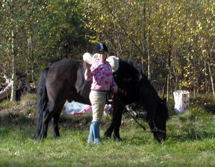 Anden særlig race Viktor (solgt) ;( - Skovtur 2009 billede 2