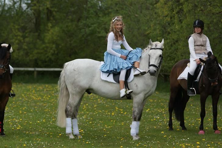 Connemara Calle - SOLGT - Mig og Calle.... se hvor fin han er..!<3 billet er fra min konfirmation...//fotomb// billede 11