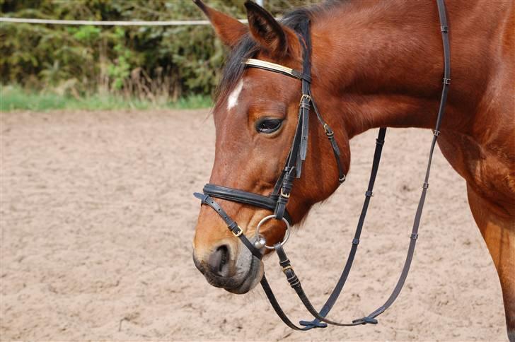 Traver Hera Waltz (SOLGT) - elsker dig hera billede 14