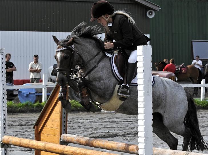 Welsh Pony (sec B) | Gazelle - MB i Gribskov :D billede 4