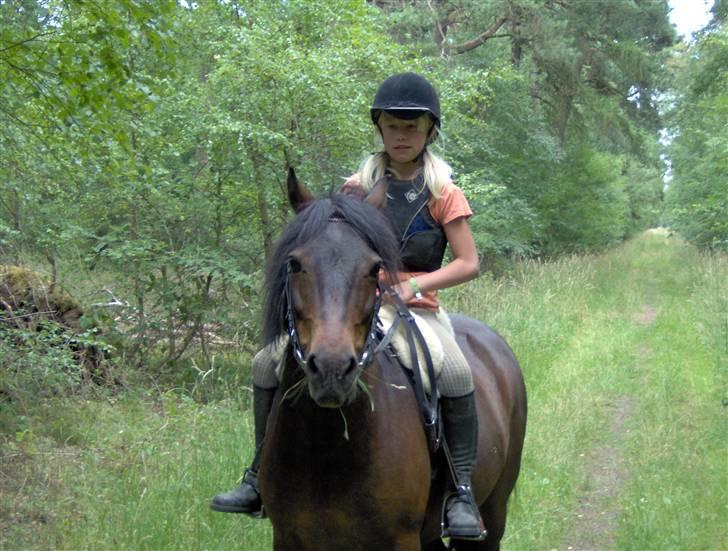 Anden særlig race Viktor (solgt) ;( - Bøllen billede 4