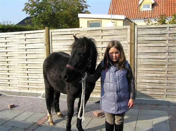 Dartmoor Wendy - mig og Wendy billede 1