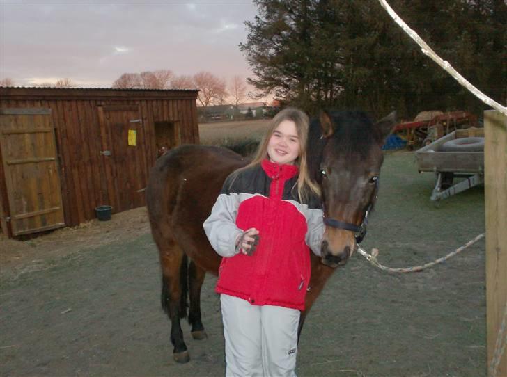 Anden særlig race R.I.P Flika :'(<3 - puha det er lidt koldt billede 2