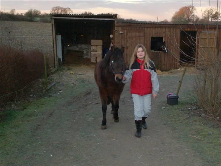 Anden særlig race R.I.P Flika :'(<3 - nu vil vi gå en tur billede 4