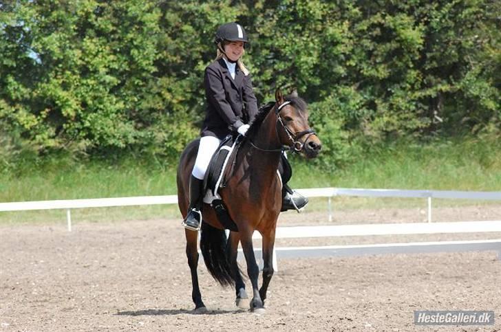 Anden særlig race R.I.P Flika :'(<3 - mig og flika Os Til sommerstævne billede 6