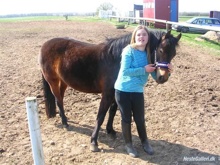 Anden særlig race R.I.P Flika :'(<3 - er det nogen som vil have en tur billede 8