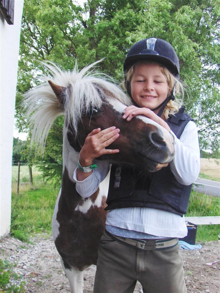 Shetlænder *Solsikke R.I.P* - uuu vi hygger =) foto:min mor tror jeg billede 15