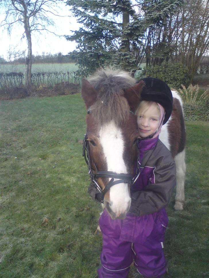 Anden særlig race Indy - Uhmmm hvor er du bare sød :) billede 14