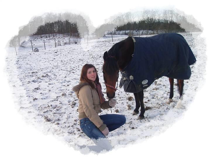 Arabisk fuldblod (OX) Halima *passede* <3 - 19. dec. 2009 billede 12