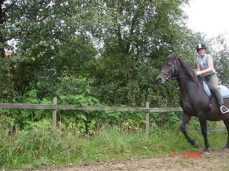 Oldenborg Starlight - Emma og Starlight <3  billede 10