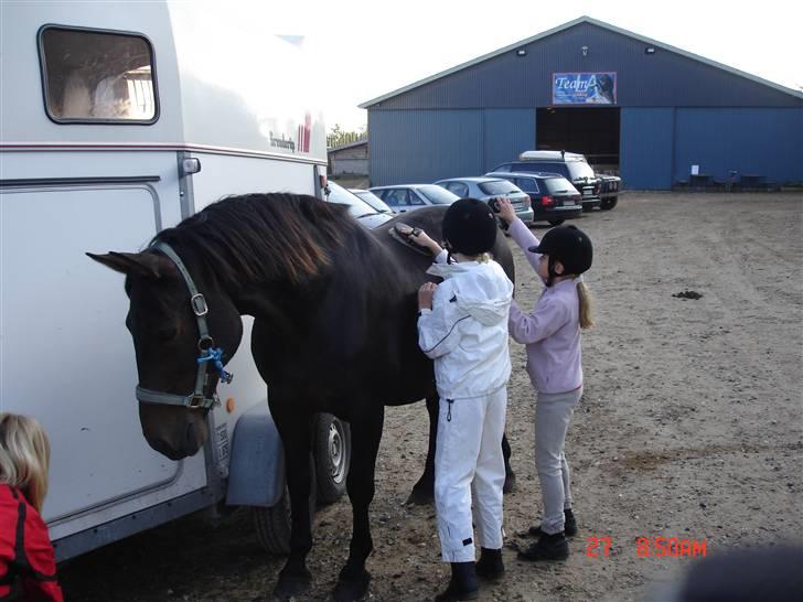 Oldenborg Starlight - Julie, Ditte og Starlight er ved at gøre sig klar til stævne LX 2.plads og 3. plads. billede 11