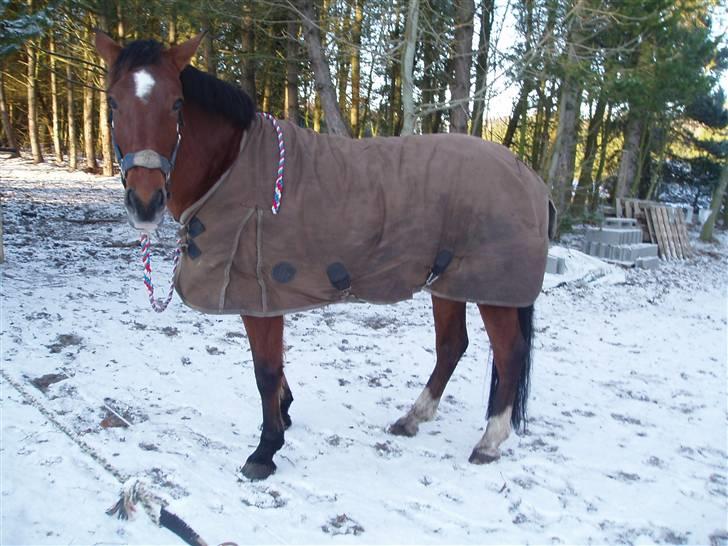 Oldenborg Sille billede 19