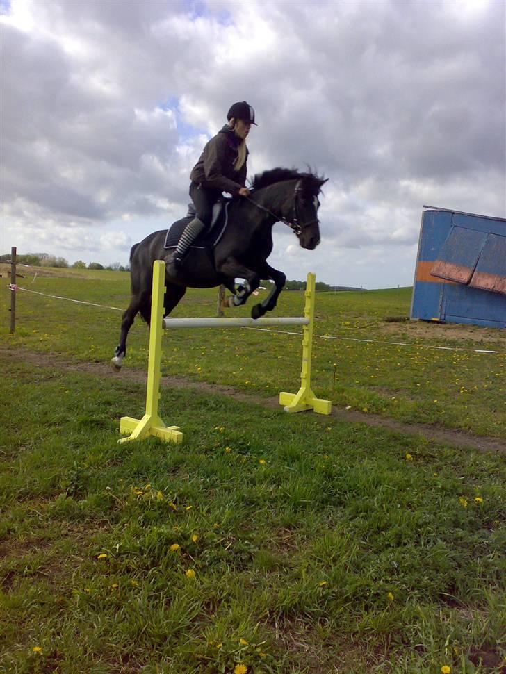 DSP Clements Himalaya *SOLGT* - taget af freja billede 11