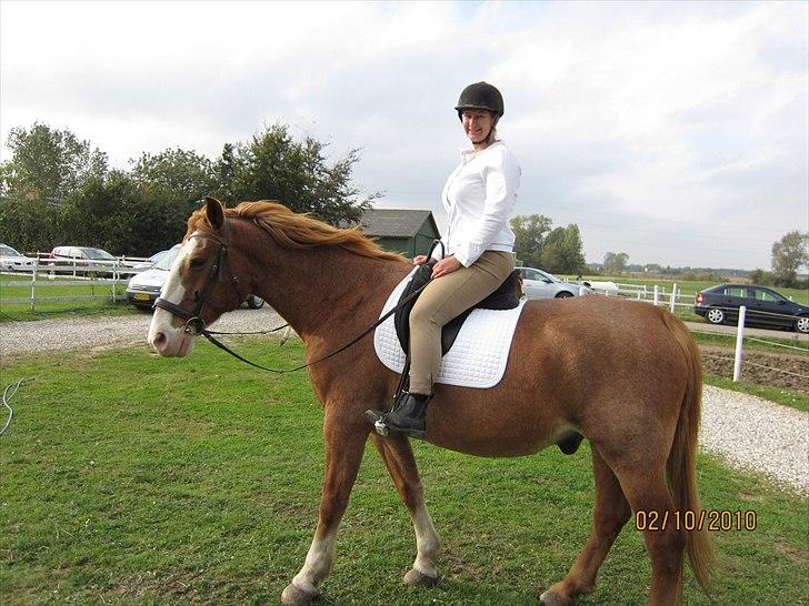 Frederiksborg Mads (rip) billede 8