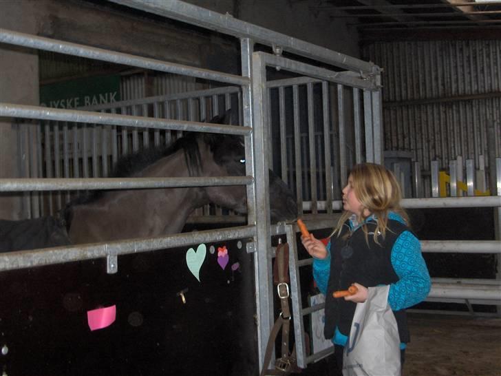 Anden særlig race Meteor <3 SOLGT - 9*Mig og Meteor billede 9