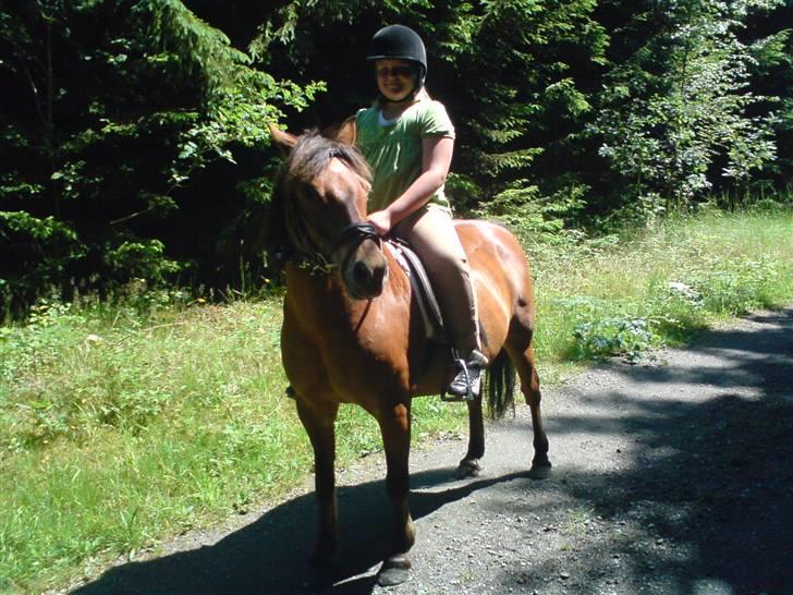 Anden særlig race Bertram - mig og bertram i skoven sommeren 07 billede 12