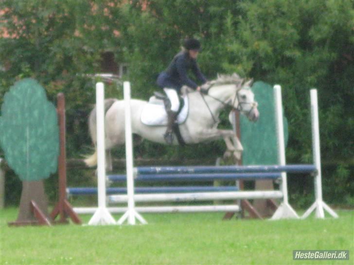 Anden særlig race | Simba<3 [SOLGT] - 6 ¤ tribbelbar :) billede 6