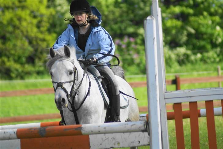 Anden særlig race | Simba<3 [SOLGT] - 7 ¤ Elsker det billed<3 xD billede 7