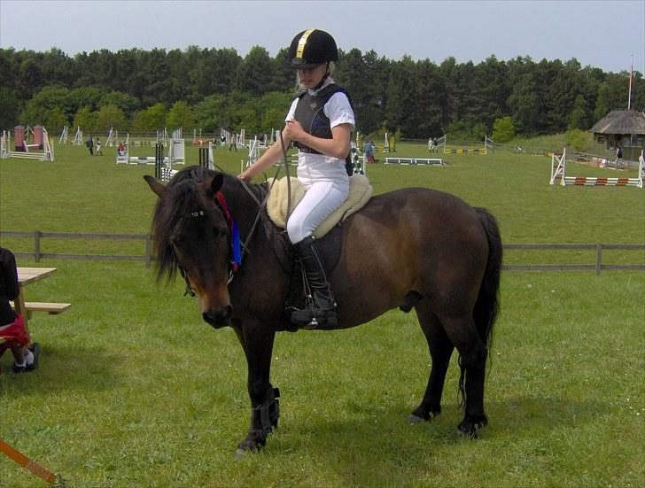 Anden særlig race Viktor (solgt) ;( - Til stævne:) billede 5