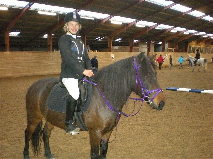 Anden særlig race Viktor (solgt) ;( - til stævne med den dejlige:D billede 6