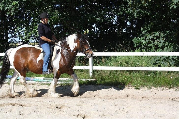 Tinker Juncker billede 3