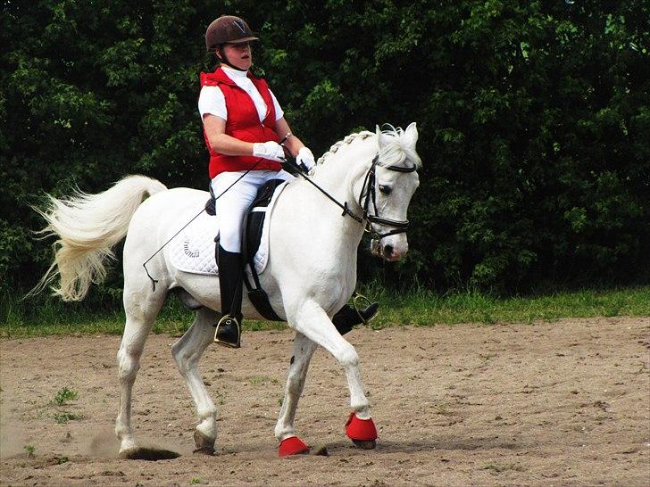 Anden særlig race Pontus - *Min skytsengel* - Fordi du er så flot:* billede 3